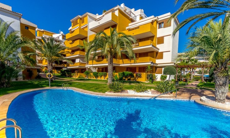 Revente - Appartement -
Torrevieja