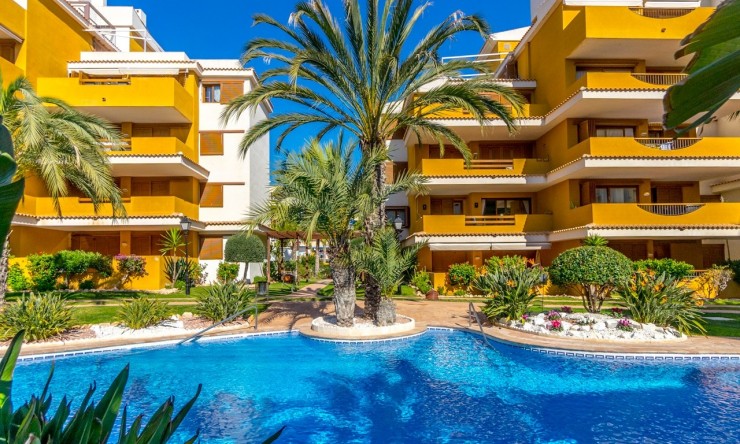Revente - Appartement -
Torrevieja