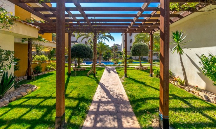 Revente - Appartement -
Torrevieja