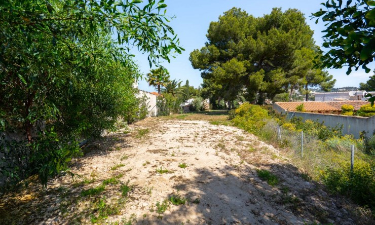Nueva construcción  - Villa -
Benissa - La Fustera