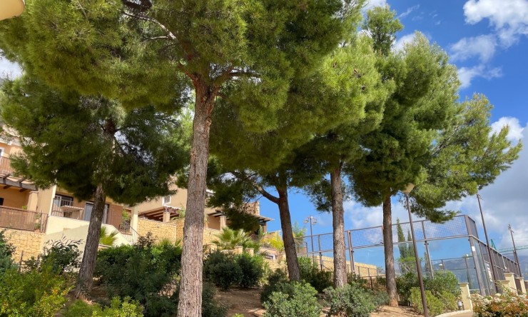 Resale - Detached House -
Polop - Hills