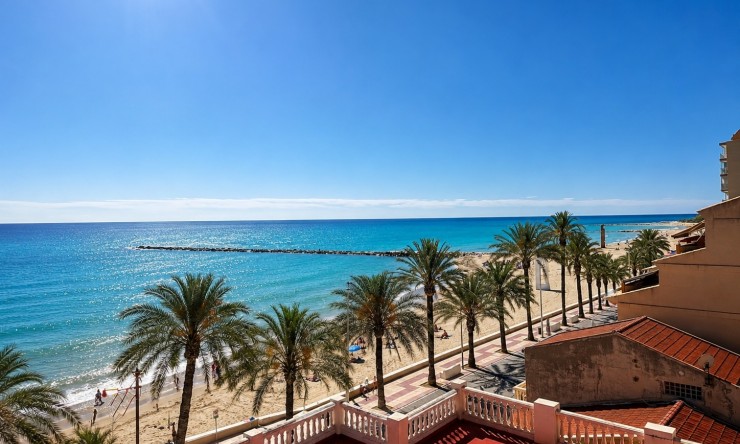 Neue Gebäude -  -
El Campello - Campello Playa