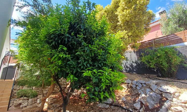 Nueva construcción  - Villa -
Gata de Gorgos