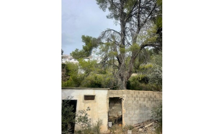 Resale - Plot -
Alfaz del Pi