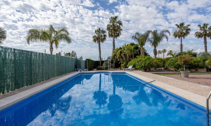 Resale - Villa -
Elche