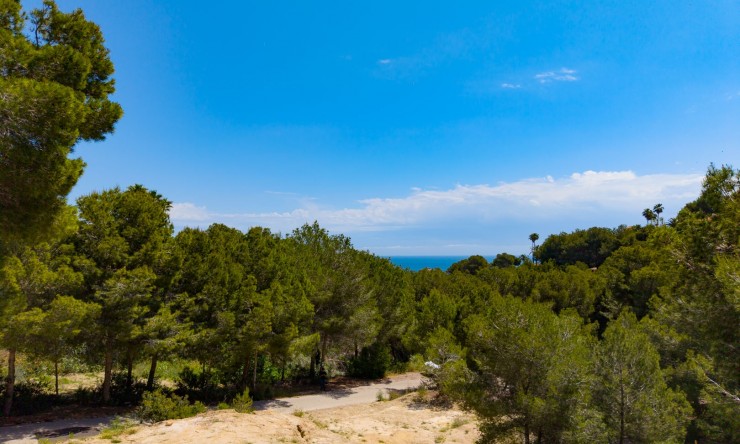 Reventa -  -
Jávea - Portichol