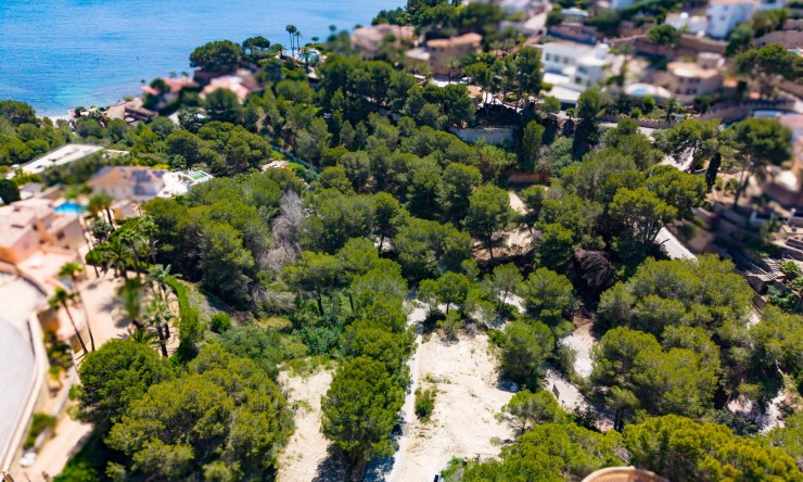 Reventa -  -
Jávea - Portichol