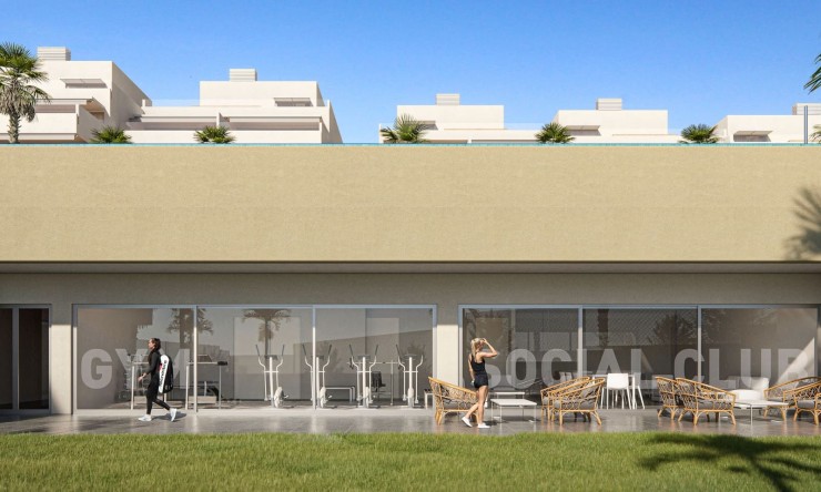 Nowe budownictwo - Penthouse -
