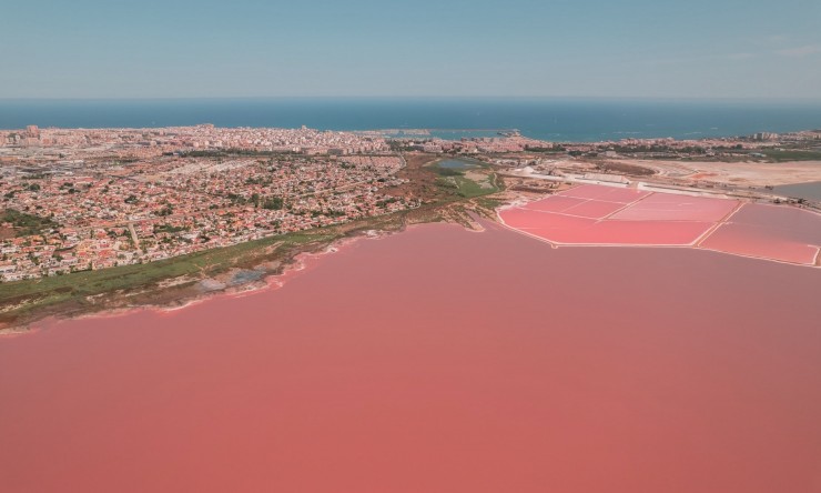 Nieuwbouw Woningen -  -
Torrevieja