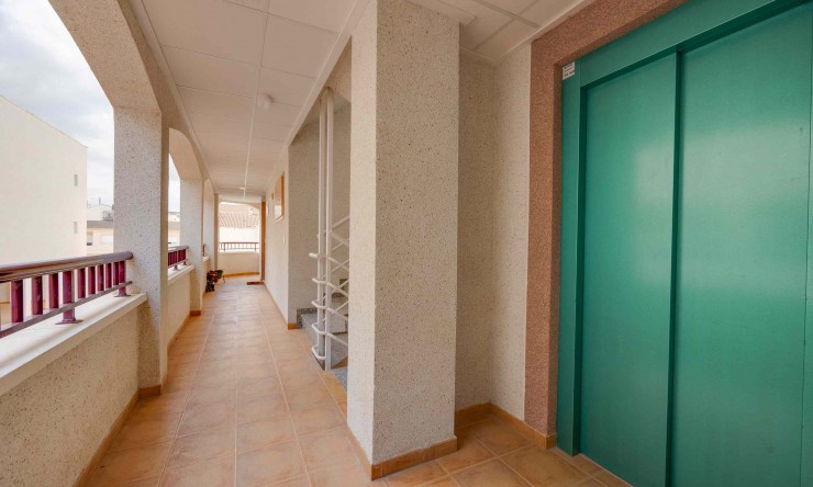 Nueva construcción  - Apartamento -
San Fulgencio