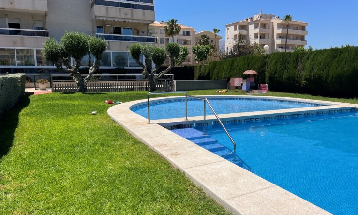 Resale - Apartment -
Albir