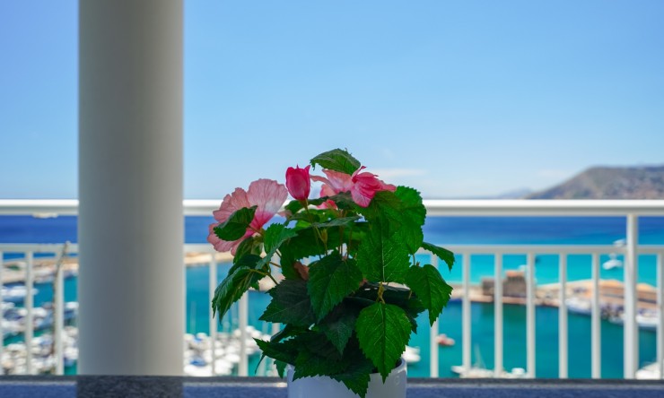 Reventa - Apartamento -
Calpe - Port
