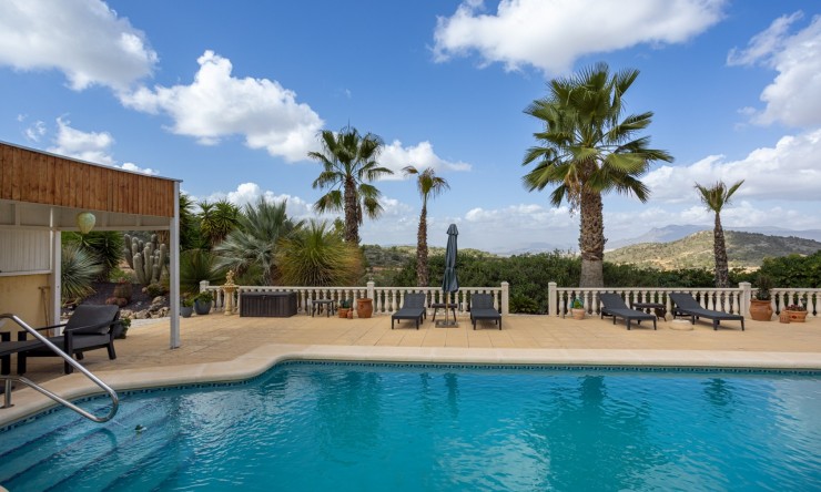 Resale - Detached Villa -
La Zarza