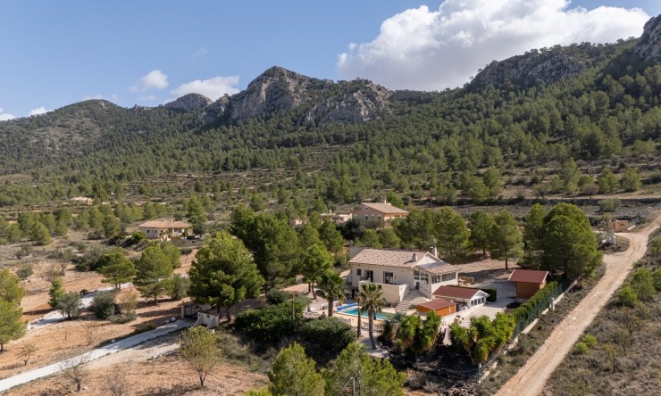 Resale - Detached Villa -
La Zarza