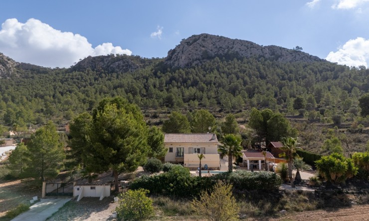 Resale - Detached Villa -
La Zarza
