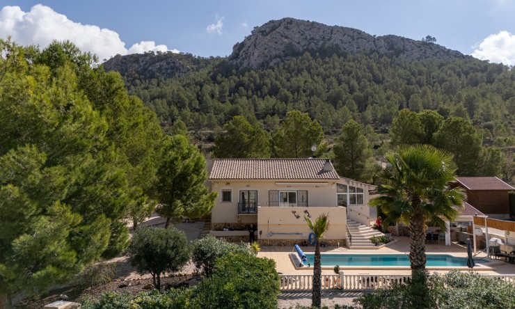 Resale - Detached Villa -
La Zarza