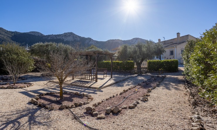 Resale - Finca - Country Property -
La Zarza
