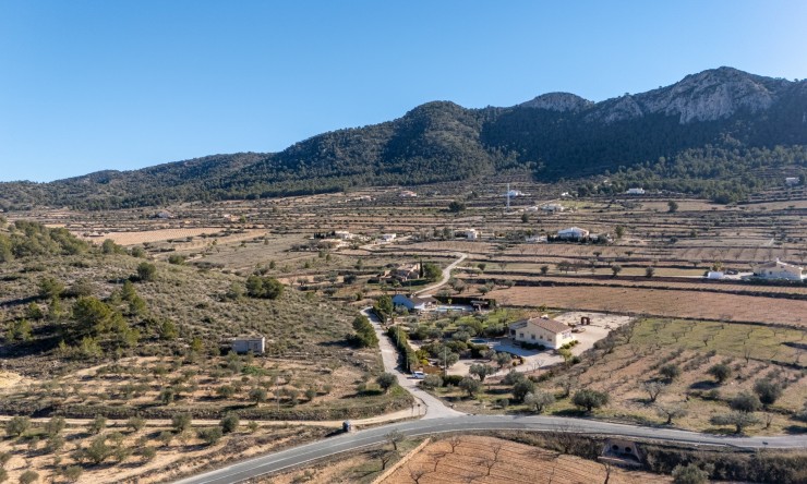 Resale - Finca - Country Property -
La Zarza
