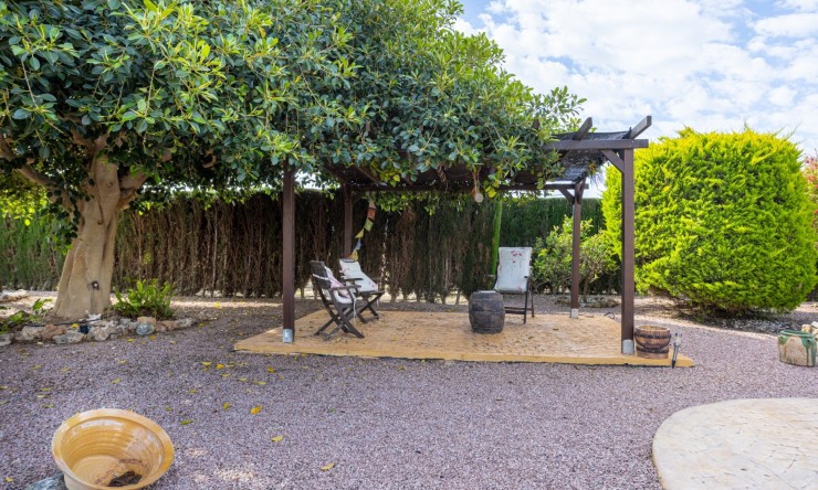 Resale - Detached Villa -
Elche - La Hoya