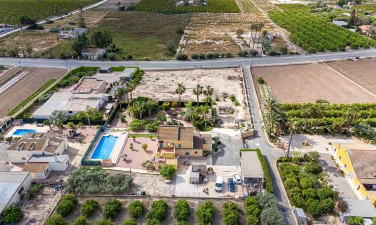Resale - Detached Villa -
Elche - La Hoya