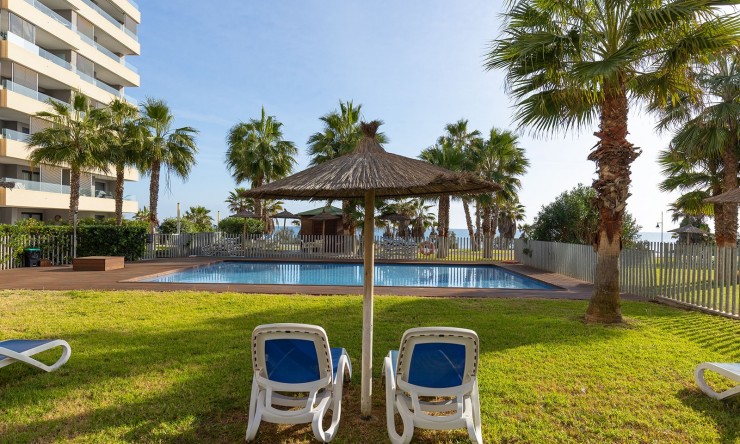 Resale - Penthouse -
Torrevieja - Punta Prima