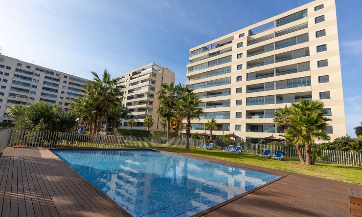 Resale - Penthouse -
Torrevieja - Punta Prima