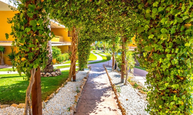 Resale - Apartment -
Torrevieja - Punta Prima