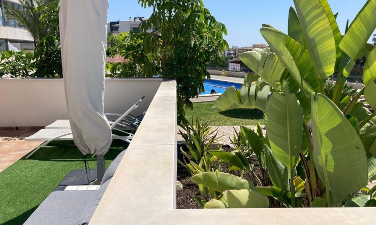 Resale - Apartment -
Los Dolses