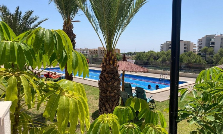 Resale - Apartment -
Los Dolses