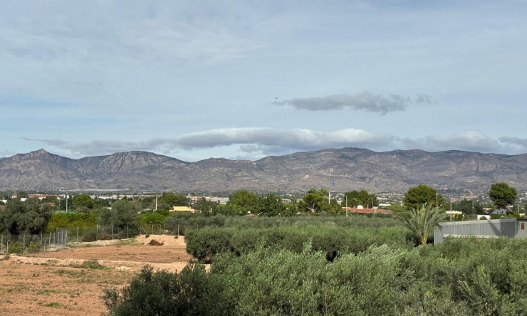 Resale - Detached Villa -
Crevillente