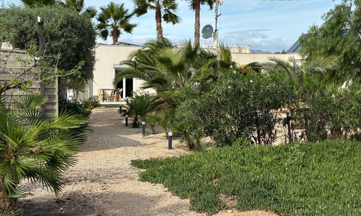 Resale - Detached Villa -
Crevillente