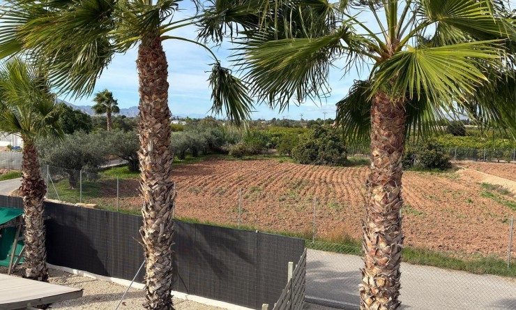 Resale - Detached Villa -
Crevillente