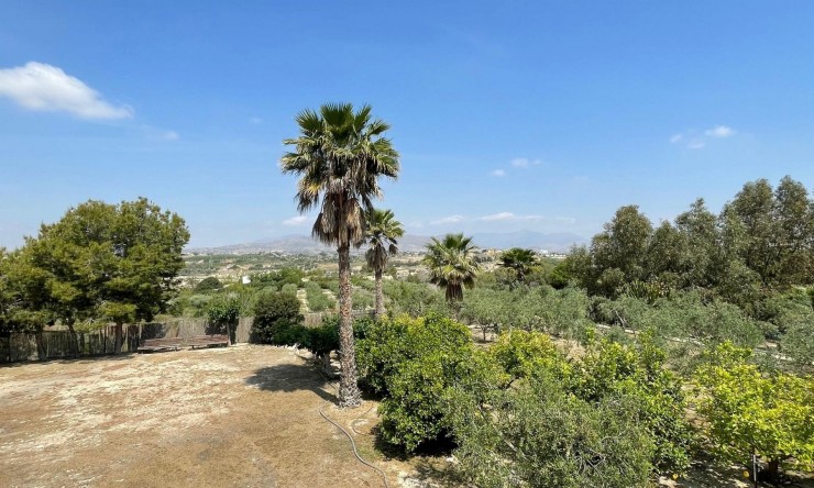 Resale - Detached Villa -
El Rebolledo