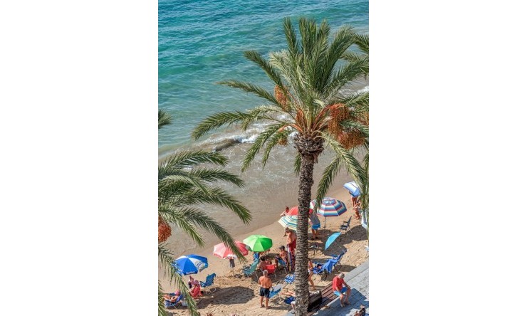Rynek Wtórny - Apartament -
Torrevieja