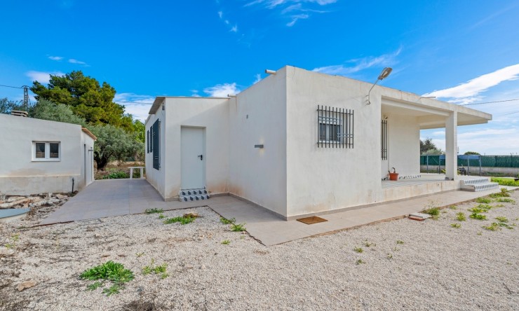Wiederverkauf -  -
Elche/Elx