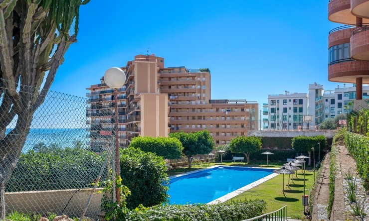 Rynek Wtórny - Apartament -
Arenales del Sol - Segunda linea playa