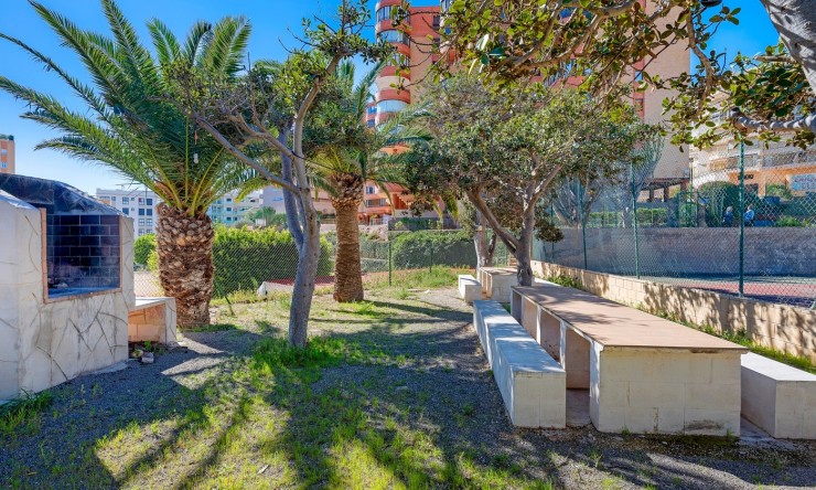 Rynek Wtórny - Apartament -
Arenales del Sol - Segunda linea playa