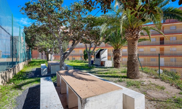 Rynek Wtórny - Apartament -
Arenales del Sol - Segunda linea playa