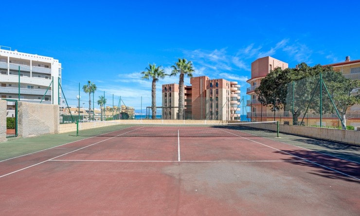 Rynek Wtórny - Apartament -
Arenales del Sol - Segunda linea playa