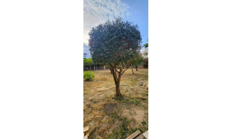 Resale - Villa -
Albir - Center