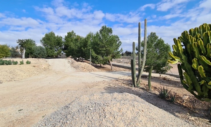 Revente - Villa -
ORIHUELA - La Matanza