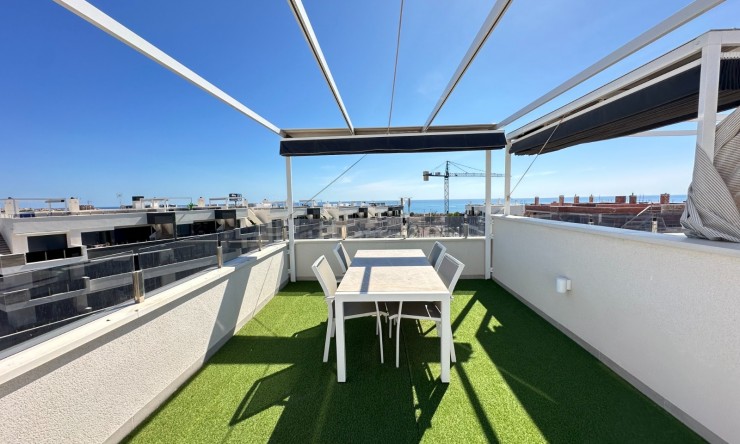 Herverkoop - Penthouse -
PLAYA FLAMENCA