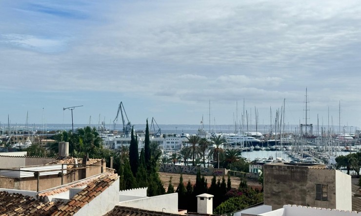 Revente - Attique -
PALMA