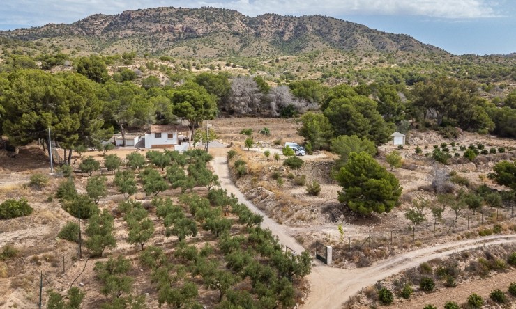 Reventa - Villa -
LA TERCIA - La Tercia