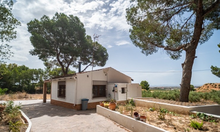 Reventa - Villa -
LA TERCIA - La Tercia