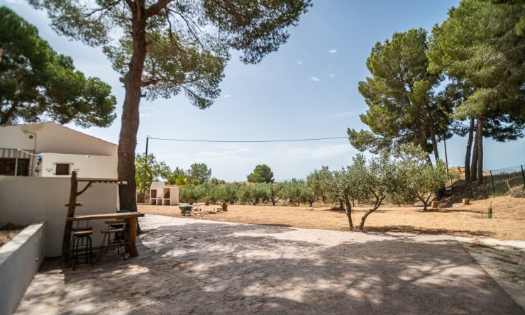 Reventa - Villa -
LA TERCIA - La Tercia