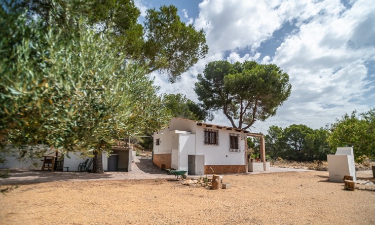 Reventa - Villa -
LA TERCIA - La Tercia