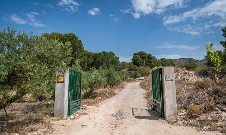 Reventa - Villa -
LA TERCIA - La Tercia