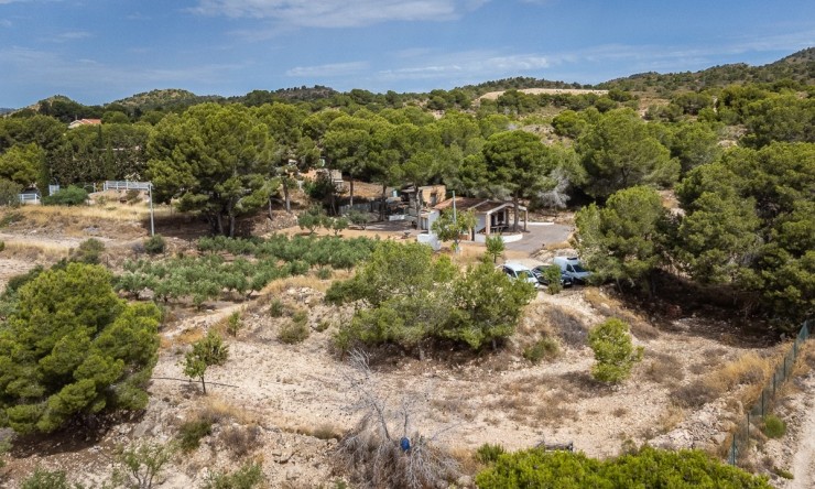 Reventa - Villa -
LA TERCIA - La Tercia