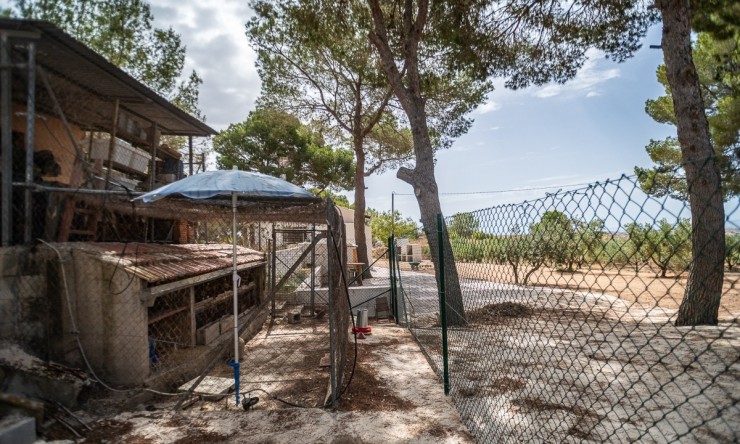 Reventa - Villa -
LA TERCIA - La Tercia